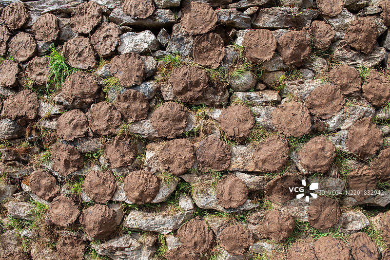 在尼泊尔乡村，墙上用棍子晾干的牛粪全景。干牛粪是印度和尼泊尔乡村许多家庭的主要烹饪燃料来源。图片素材