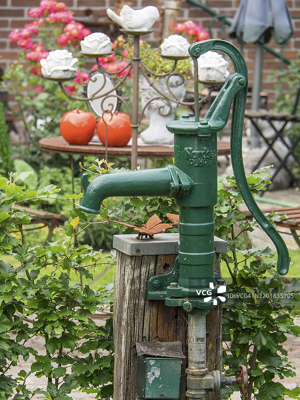 绿色古董水泵被郁郁葱葱的花园环境环绕，破损，德国明斯特地区图片素材