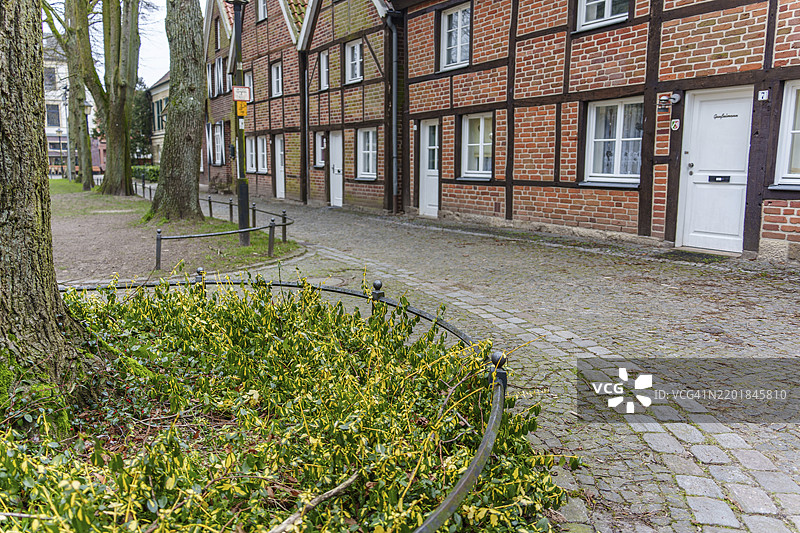 德国明斯特地区比勒贝克的安静街区,历史悠久的半木结构房屋,砖砌外立面和石板路上的树木。图片素材