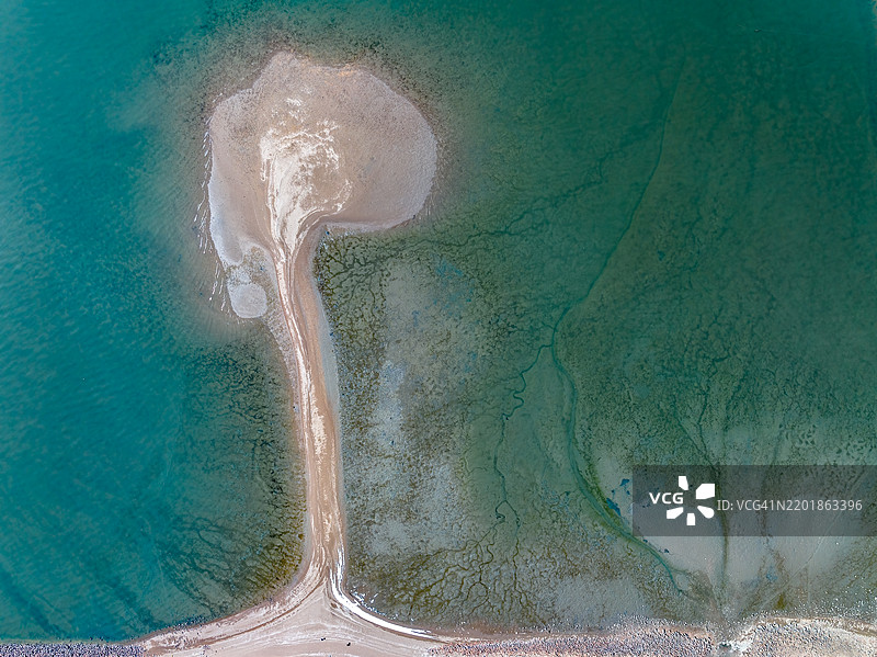 无人机视角的树形海滩图片素材