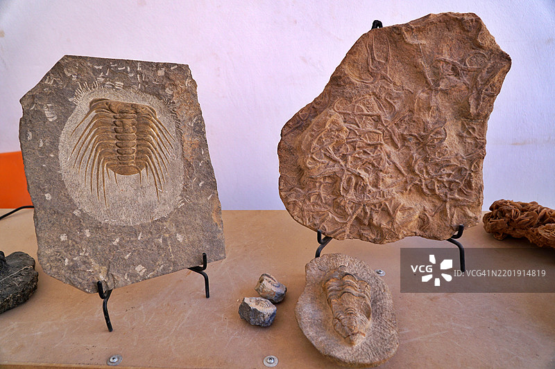 菲斯的福西勒斯图片素材