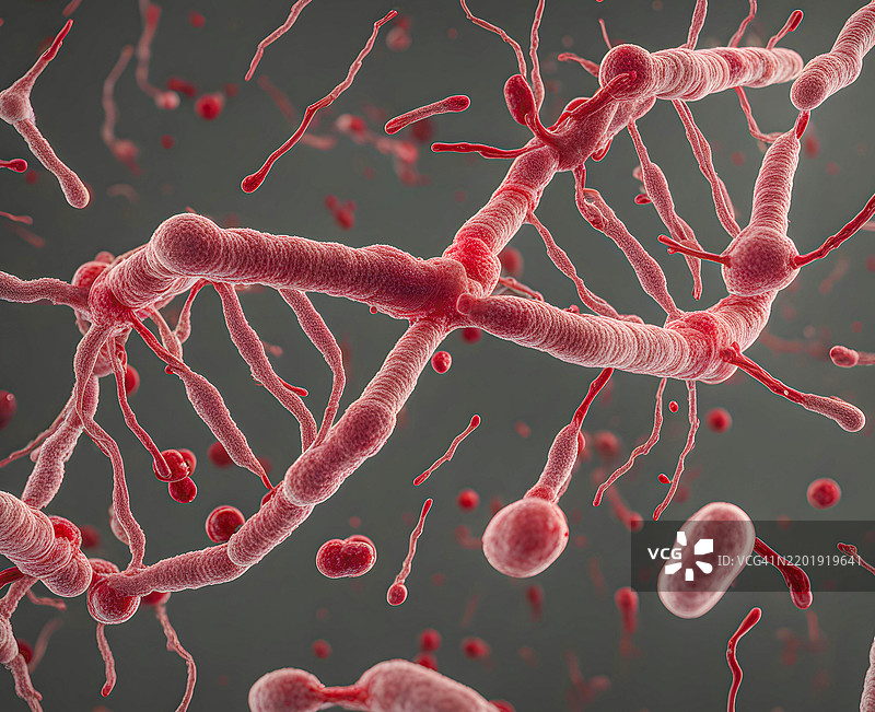 3D病毒细胞攻击DNA链图片素材