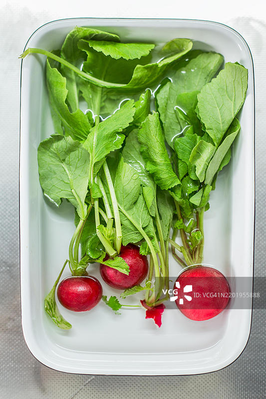 三个红色的萝卜和绿色的叶子在装满水的白色水槽里图片素材