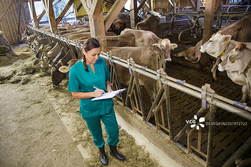 女兽医在谷仓里拿着笔记本。图片素材