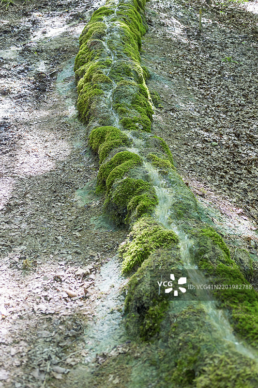 德国巴伐利亚上弗兰肯地区Scheßlitz的Roschlaub石头溪流中的自然现象图片素材