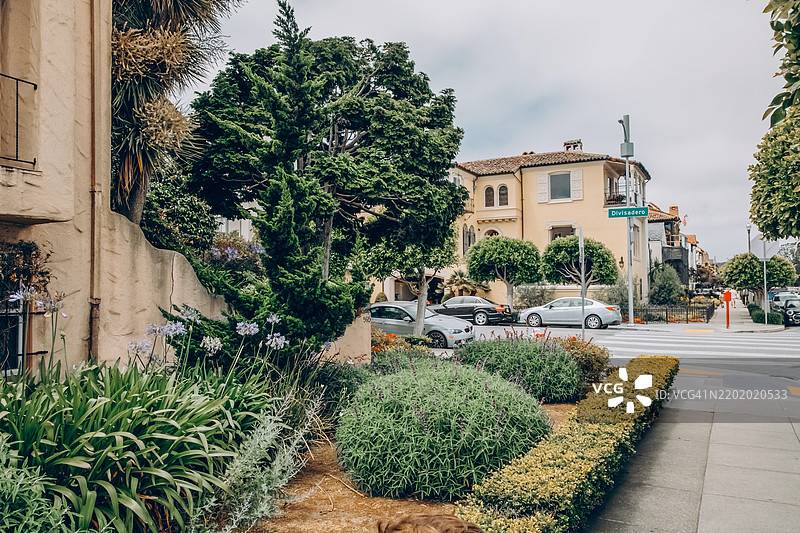 小型城市花园，修剪整齐的灌木和紫色花朵。住宅建筑旁停着汽车。阴云密布的天空。图片素材