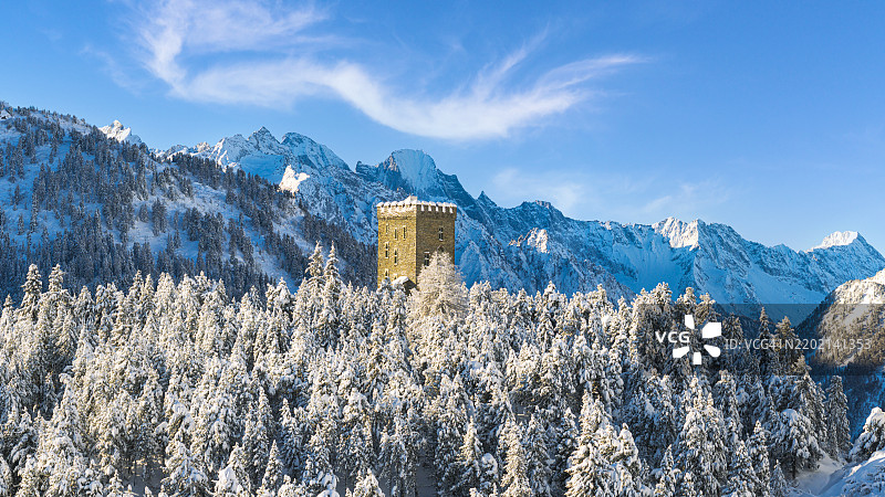 恩加丁雪林中的贝尔维德雷塔图片素材