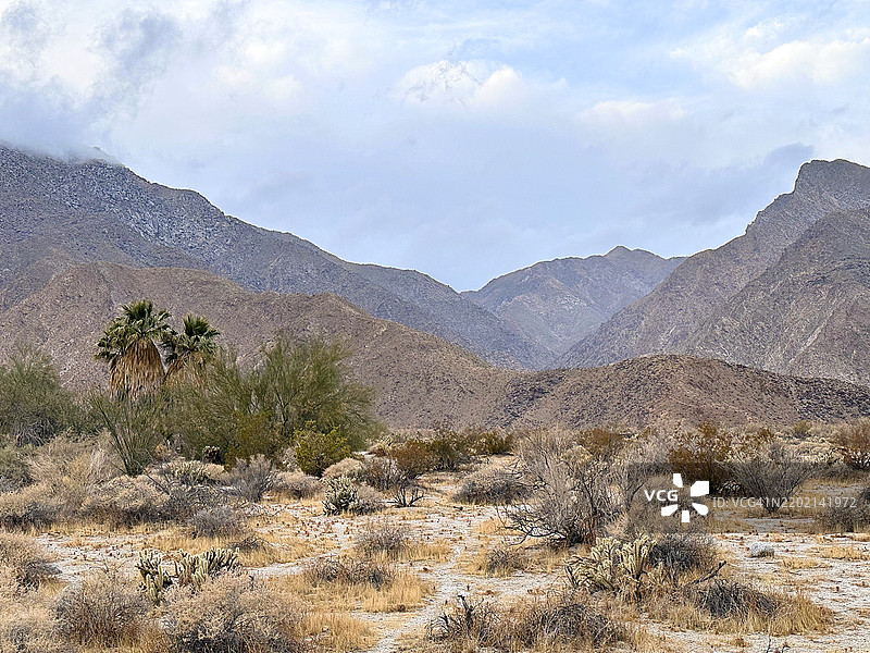 生机勃勃的沙漠峡谷 1图片素材