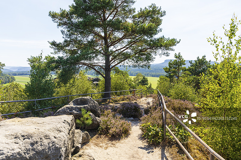 在凯瑟克朗的全景观景点，莱因哈德斯多夫-舍纳，萨克森瑞士，萨克森，德国，欧洲图片素材