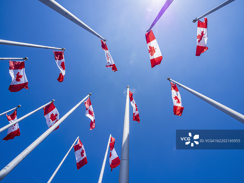 阳光明媚的日子里，低角度拍摄的加拿大国旗在旗杆上迎风飘扬，背景是蓝天。图片素材