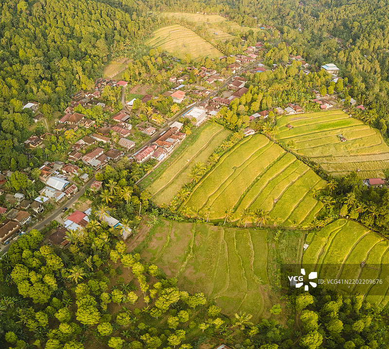 穆杜克稻田上的宁静日落图片素材