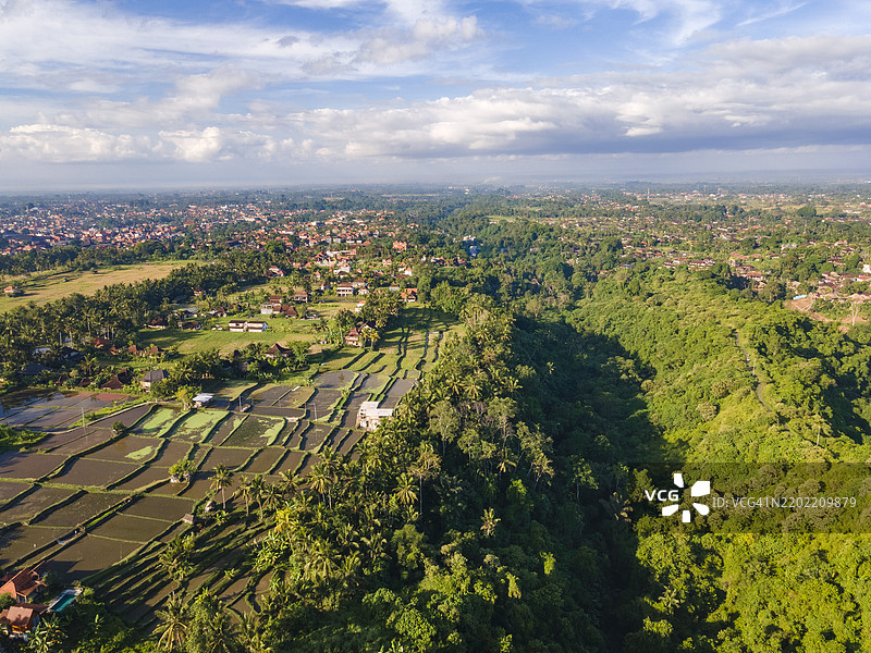 乌布附近的巴厘岛稻田图片素材