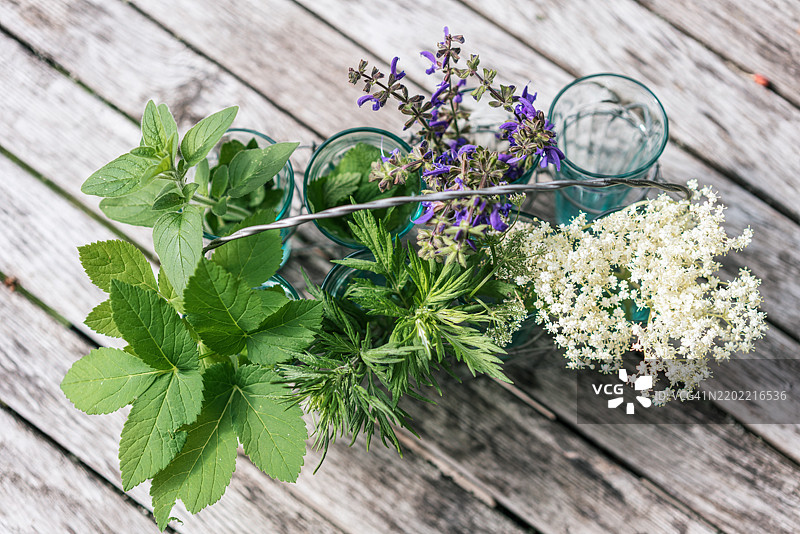 在花园里采集草药、水果和蔬菜以备后用图片素材