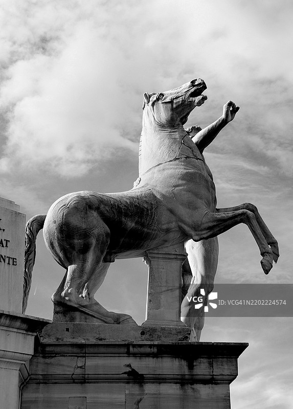 奎里纳尔宫的罗马双子星马 - 单色照片图片素材