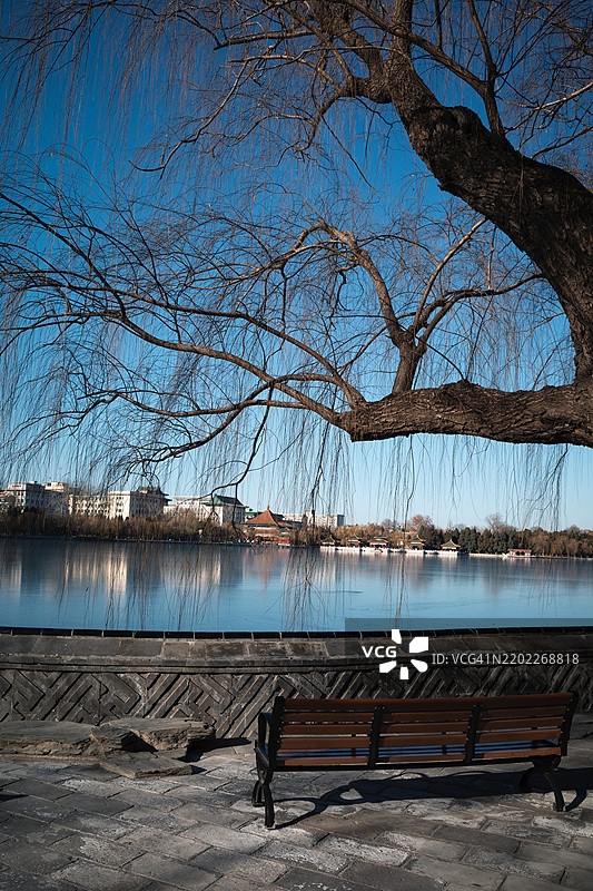 北京北海公园后门的垂柳照片（竖版）图片素材