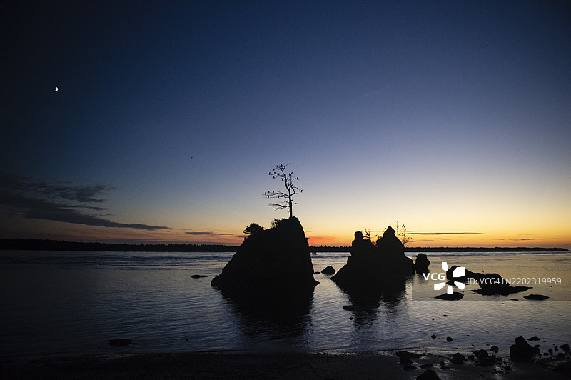 加里巴尔迪海滩上的树和海石，在日落的光辉下，映衬着弯月。图片素材
