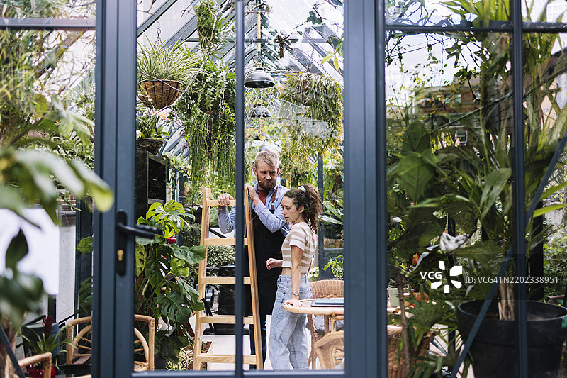 温室主人在植物苗圃中合作图片素材