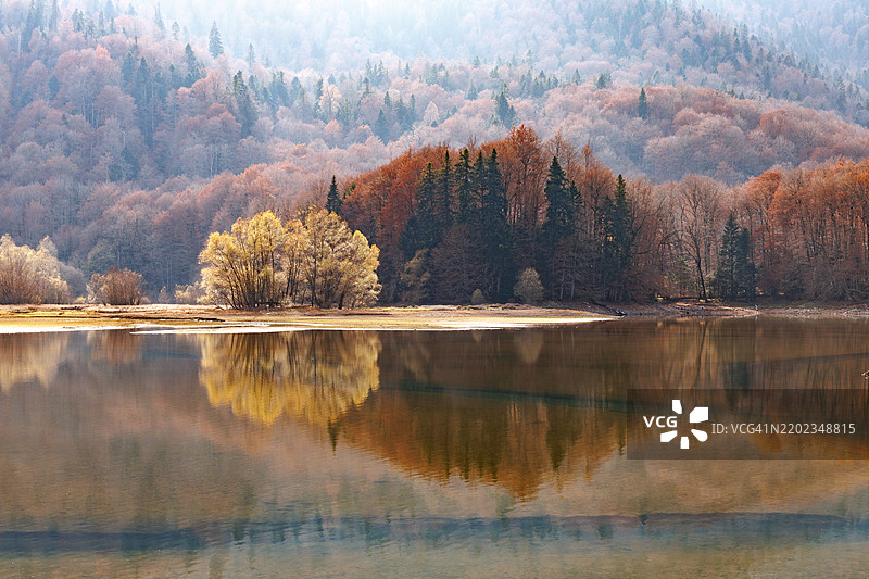 森林中的湖泊美景图片素材