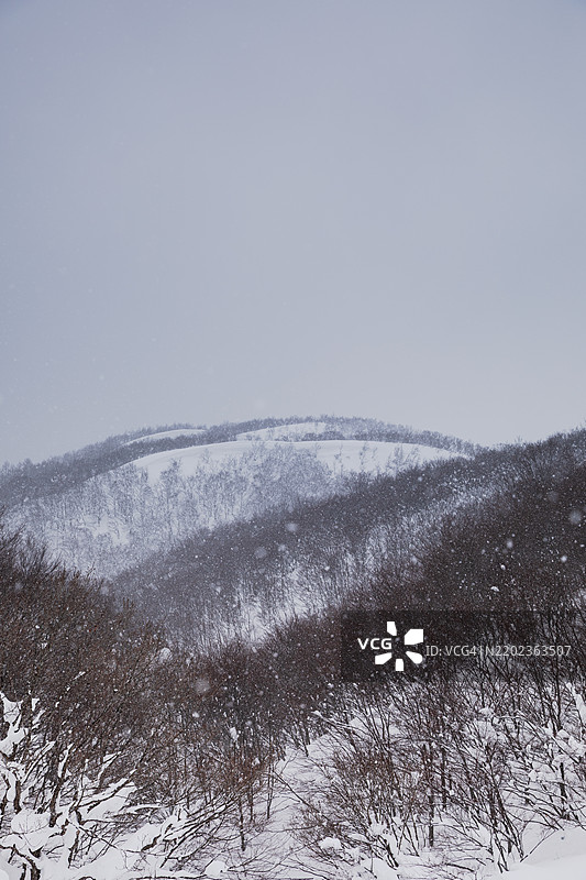 冬季雪覆盖的山脉图片素材