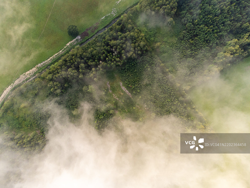 柔和的白雾笼罩着拉脱维亚乡村的夏季风景，航拍雾霭云层图片素材