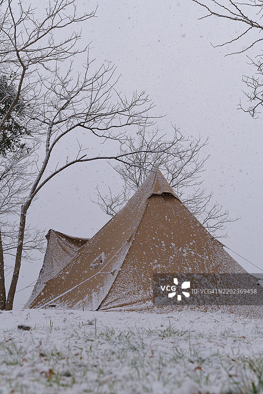 雪覆盖的田野美景图片素材