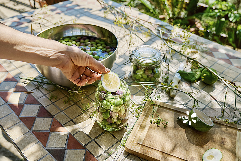 女人的手将柠檬片放入发酵橄榄的罐子中图片素材