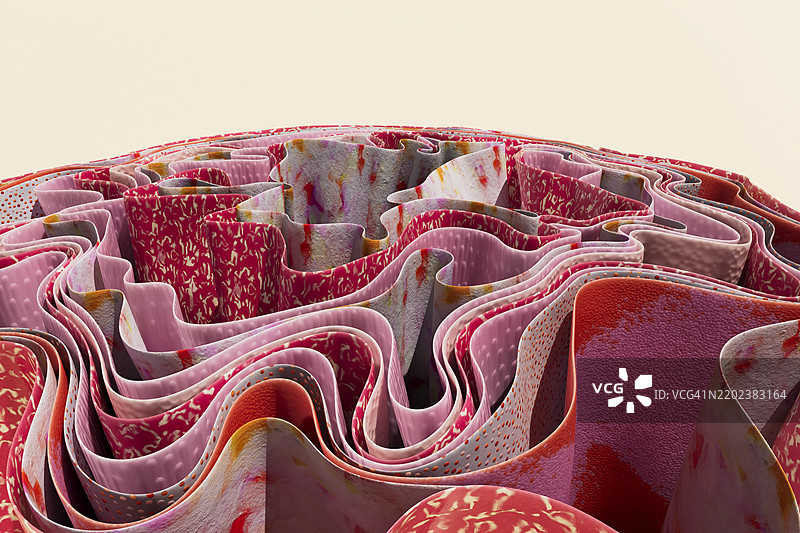 粉红色和红色的抽象褶皱3D渲染，带有分层纹理图片素材