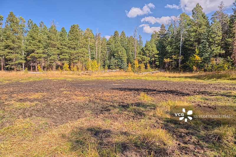 格林兰湖变成了一个泥坑，北缘大峡谷，联合国教科文组织，亚利桑那州，美国图片素材