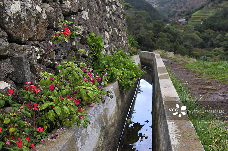 马德拉岛马基科高地的水渠（Levada），大西洋，葡萄牙图片素材
