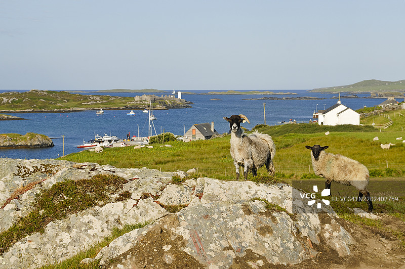 爱尔兰共和国康诺特地区戈尔韦县康尼马拉的伊尼什博芬岛图片素材