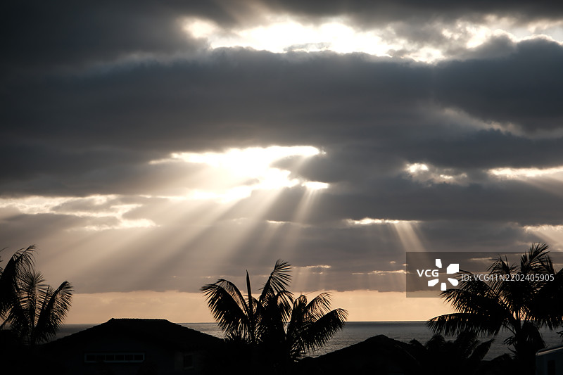 低角度视图，树木和建筑物的轮廓映衬在天空中，加州德尔玛，美国图片素材