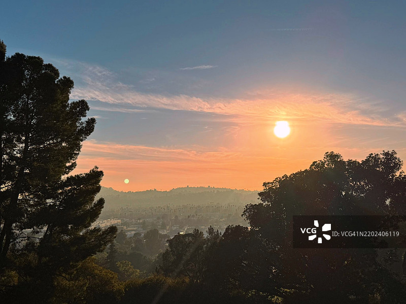 日落时分，加州格伦代尔的天空中树木的剪影图片素材
