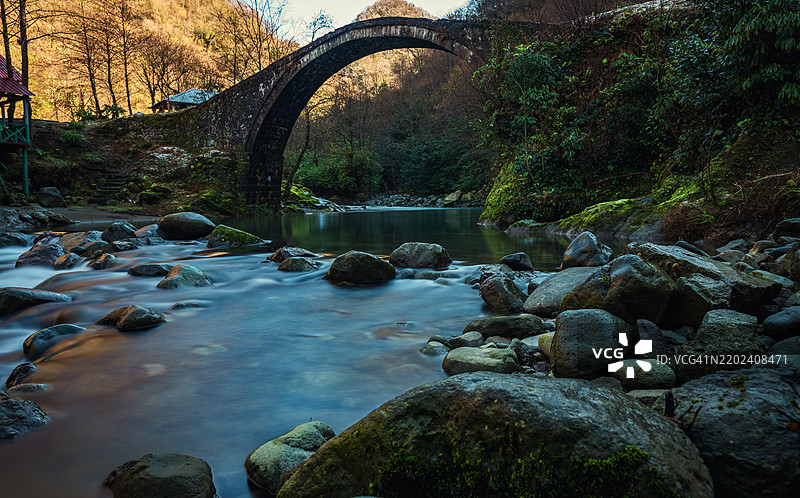 森林中河流上方的古老桥梁风景图片素材