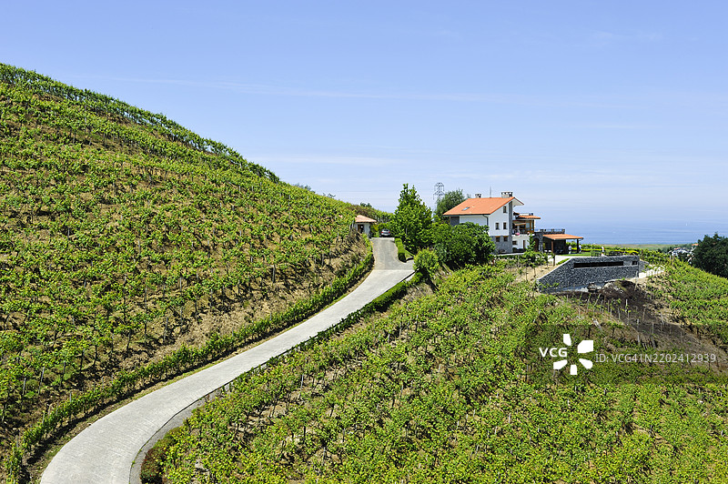 雷萨巴尔酒庄，查科利葡萄园，萨拉乌茨区，靠近赫塔里亚，吉普斯夸省，巴斯克地区，西班牙，欧洲图片素材