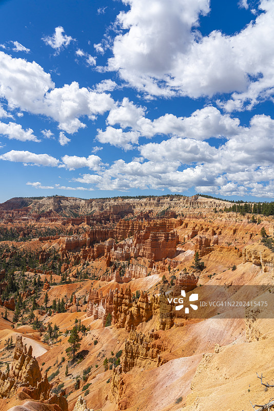 布莱斯峡谷国家公园日出点附近的边缘小径上，奇特的石柱和岩石形成的风景。图片素材
