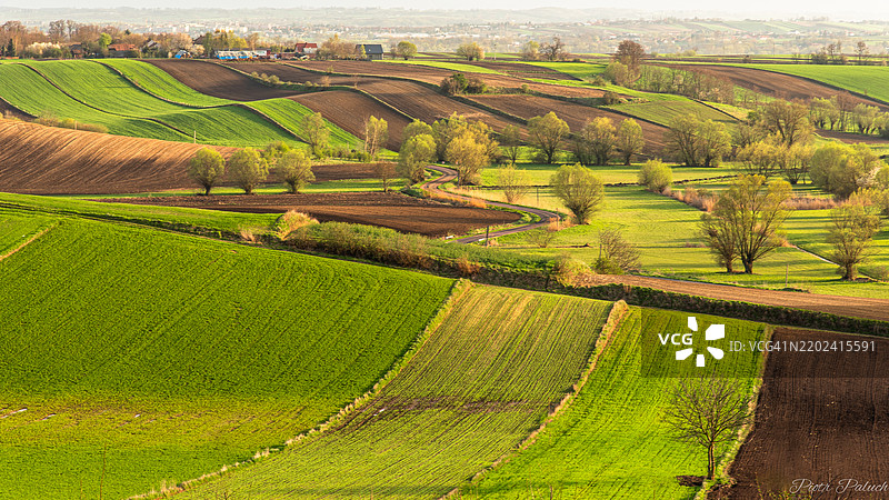 农业田野的美丽景色图片素材