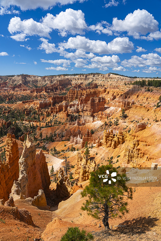 布莱斯峡谷国家公园日出点的石柱和岩石形成的风景图片素材