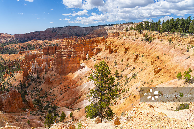 布莱斯峡谷国家公园的石柱和岩石形成的风景，边缘小径，犹他州，美国，北美图片素材