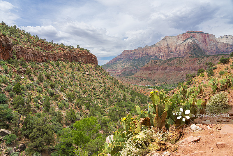 从守望者小径看到的锡安谷，锡安国家公园，犹他州，美国，北美图片素材