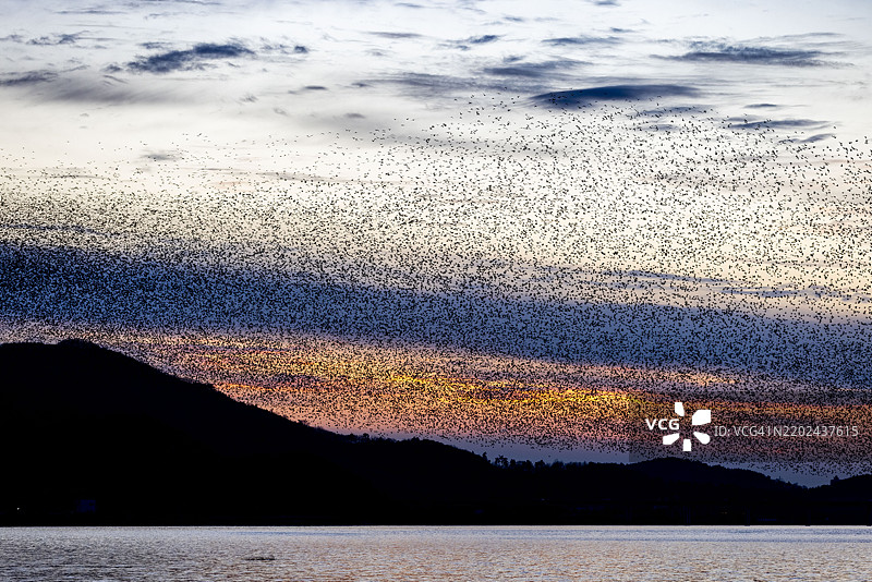 金刚山，日落，候鸟图片素材
