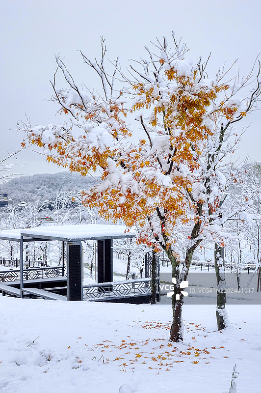 公园避难所雪景图片素材