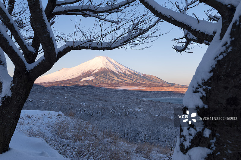 富士山与雪覆盖的森林图片素材