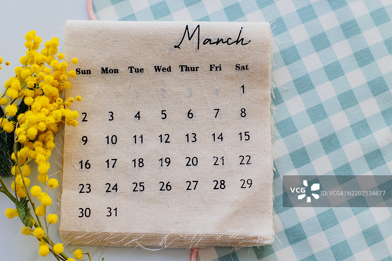 2025年3月日历与淡蓝色格子背景上的香槟花枝。平铺展示。春天你好概念图片素材