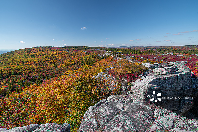 多莉索兹荒野图片素材
