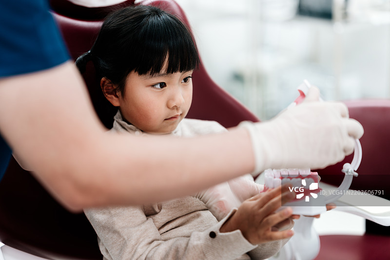 牙医为亚洲女孩讲解牙科知识，她坐在牙医椅上，手里拿着牙齿道具。图片素材