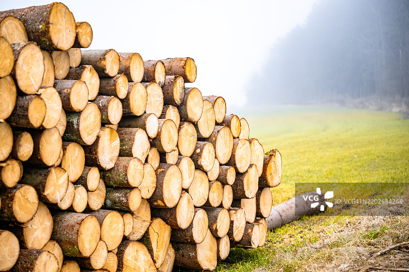 一堆新砍伐的木材，散发着如天堂般的香气图片素材