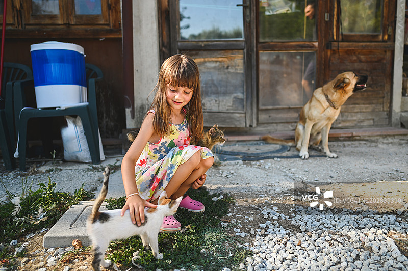 孩子与家禽玩耍。图片素材