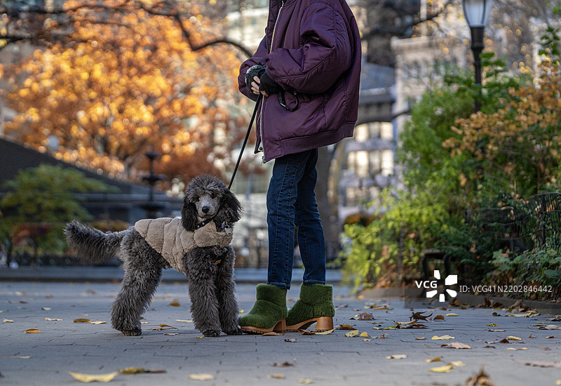 快乐的老年女性在纽约市麦迪逊广场公园与她的狗合影图片素材