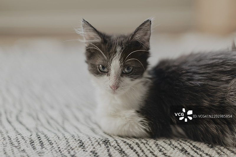 精致的美丽图片素材