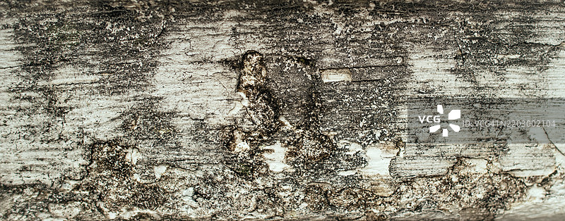 旧脏墙壁图片素材